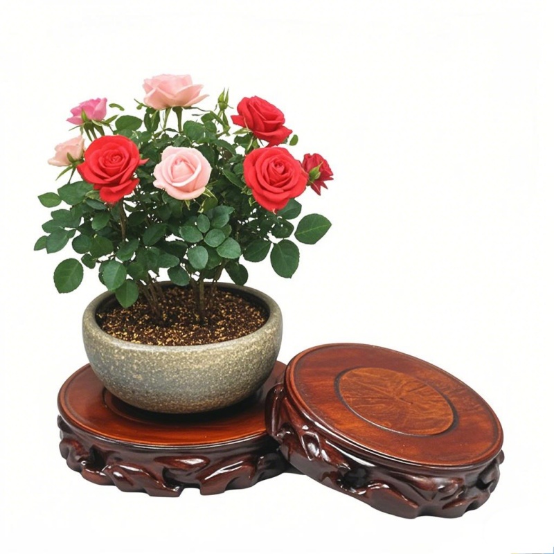 Wooden Plant Saucer & Flower P - огляд і ціна Coffee Tea Garden